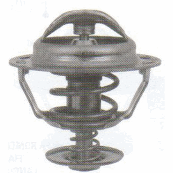THERMOSTAAT+PAKK DW8/DW10 83GR