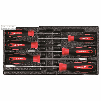 SCHROEVENDRAAIERSET FL/PZ