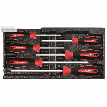 SCHROEVENDRAAIERSET TORX
