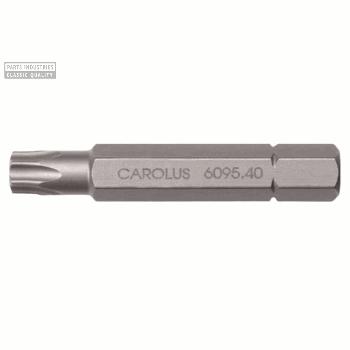 2X BIT 5/16'' 50 MM TORX T30