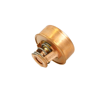 THERMOSTAAT 79GR (IN SLANG) THERMOSTAAT 79GR (IN SLANG)